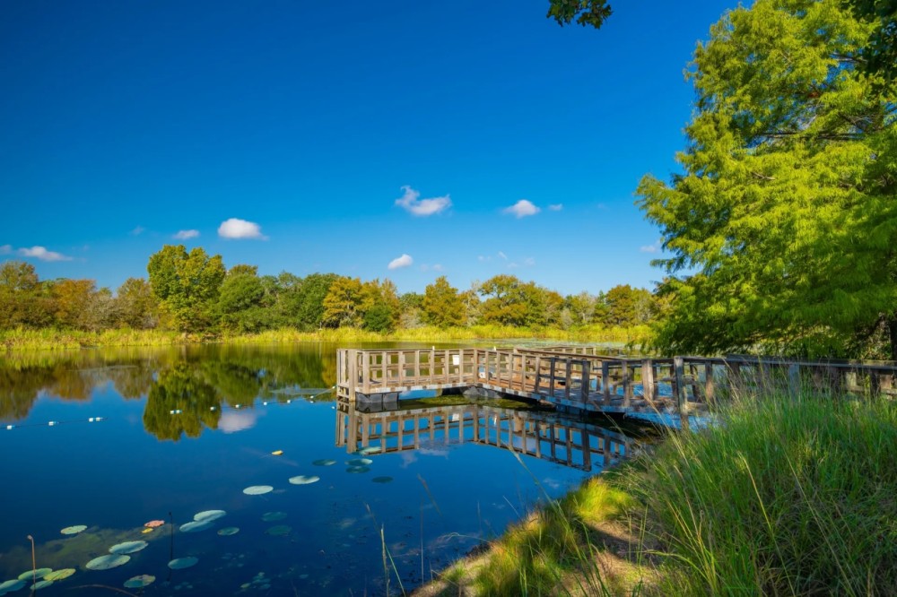 Camp Kubena featured image