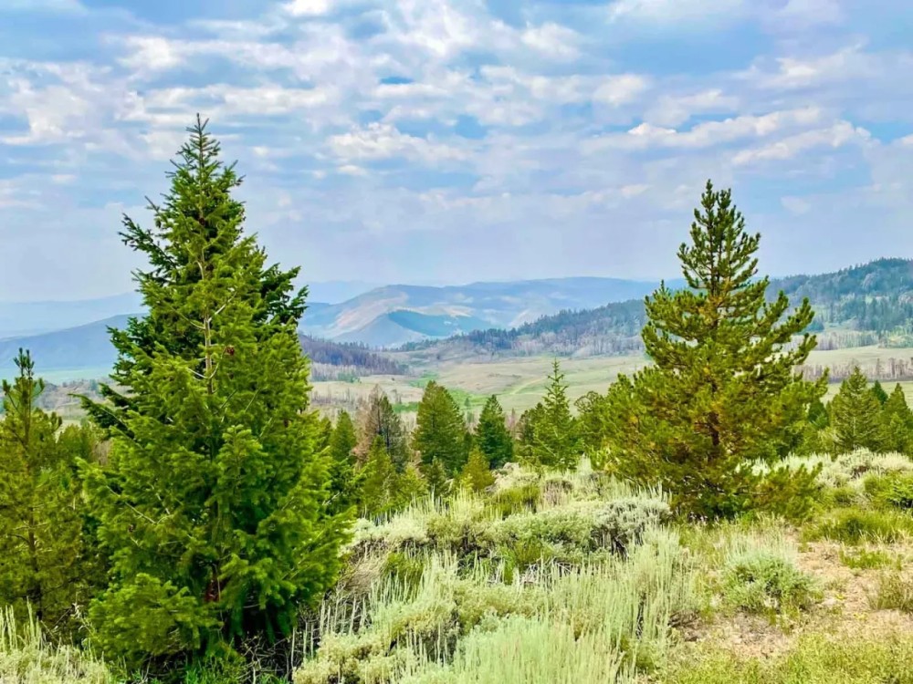 Rimrock Ranch featured image