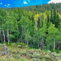 Rimrock Ranch images 2