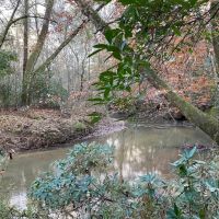 281.90 Acres in Amite County MS images 1