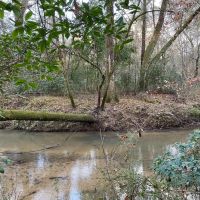 281.90 Acres in Amite County MS images 2
