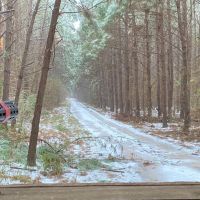 281.90 Acres in Amite County MS images 4