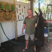 Hog 1
