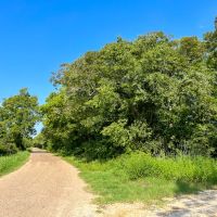 103 Acres County Road 328 images 3