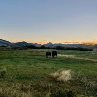 Wildhorse Ranch Northfork Nevada images 3