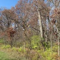 Deer Park 25 Property images 4