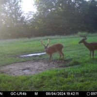 Good hunting with creek images 4