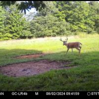 Good hunting with creek images 5