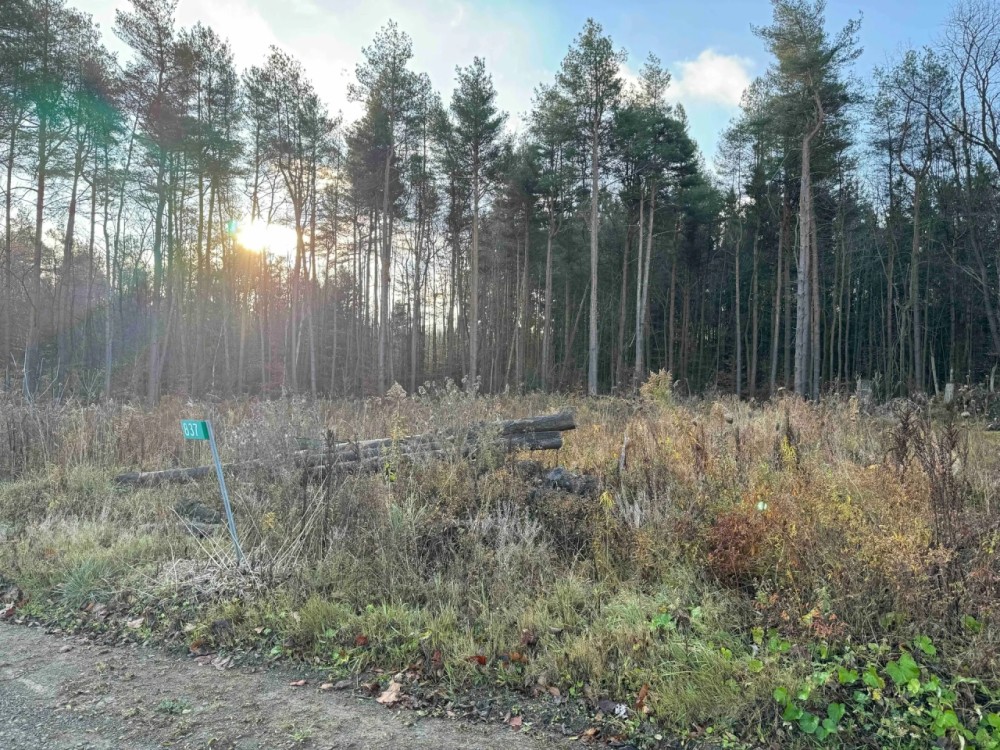4.7 acre Building Lot and Recreational Land near Bush Hill State Forest in Franklinville NY 837 Palmer Rd featured image