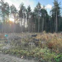 4.7 acre Building Lot and Recreational Land near Bush Hill State Forest in Franklinville NY 837 Palmer Rd