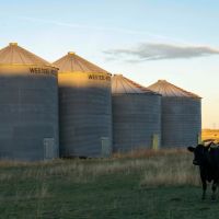 Rock Creek Farm at Fort Peck images 5
