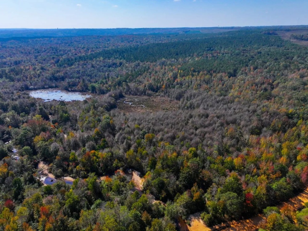 Autauga County 320 Acres featured image