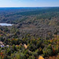 Autauga County 320 Acres