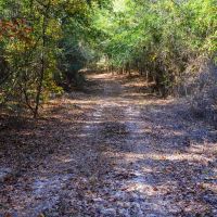 Autauga County 320 Acres images 2