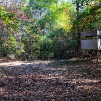 Autauga County 320 Acres images 3