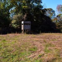 Autauga County 320 Acres images 4