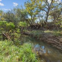 TBD County Road 136 Coleman Texas 76834 images 2