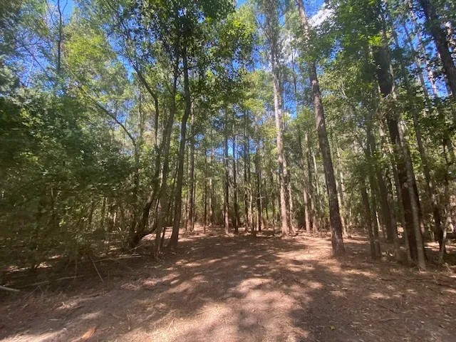 15 Wooded Acres in Salem School District- Walthall County MS featured image
