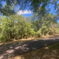 15 Wooded Acres in Salem School District- Walthall County MS images 2