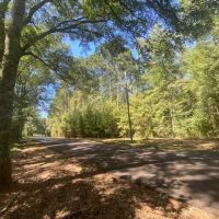 15 Wooded Acres in Salem School District- Walthall County MS images 5