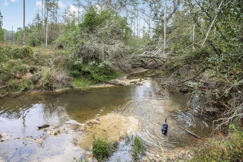 Hunting Property Homesite in Lincoln County featured image