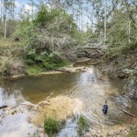 Hunting Property Homesite in Lincoln County