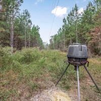 Hunting Property Homesite in Lincoln County images 3