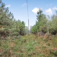 Hunting Property Homesite in Lincoln County images 5
