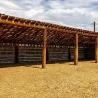 Butterfield Farm amp Livestock images 5