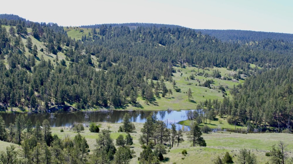 New Haven Ranch featured image