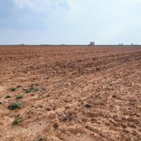 20 Acres of Farmland in Wall Texas