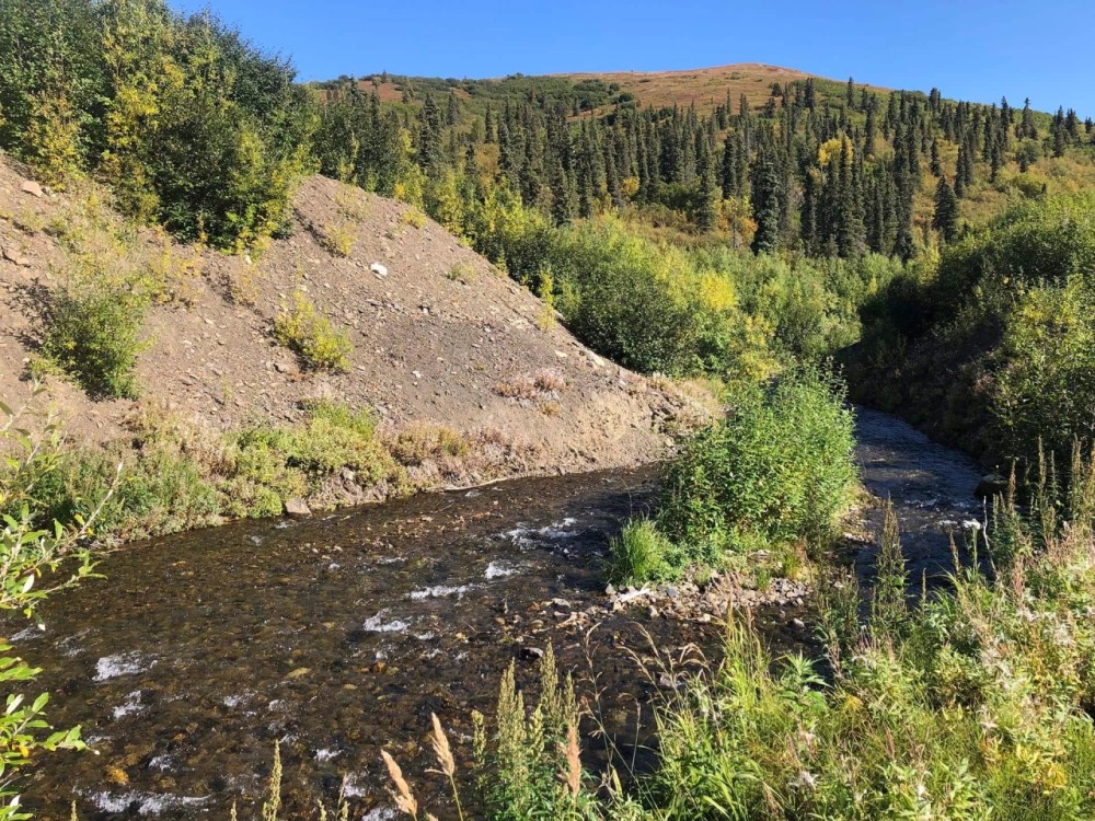 Marvel Creek Gold Mine featured image