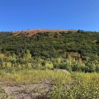 Marvel Creek Gold Mine images 3