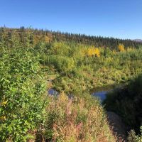 Marvel Creek Gold Mine images 4