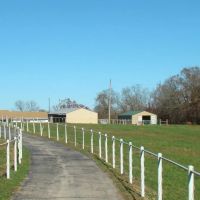 17.7 Acres 4 Bed 3 Bath Sunroom 30x40 4 stall barn Howell County