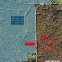 5 acre Building Lot and Hunting Land across from State Land in Gerry NY Herrick Rd images 2