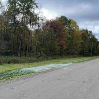 5 acre Building Lot and Hunting Land across from State Land in Gerry NY Herrick Rd images 4