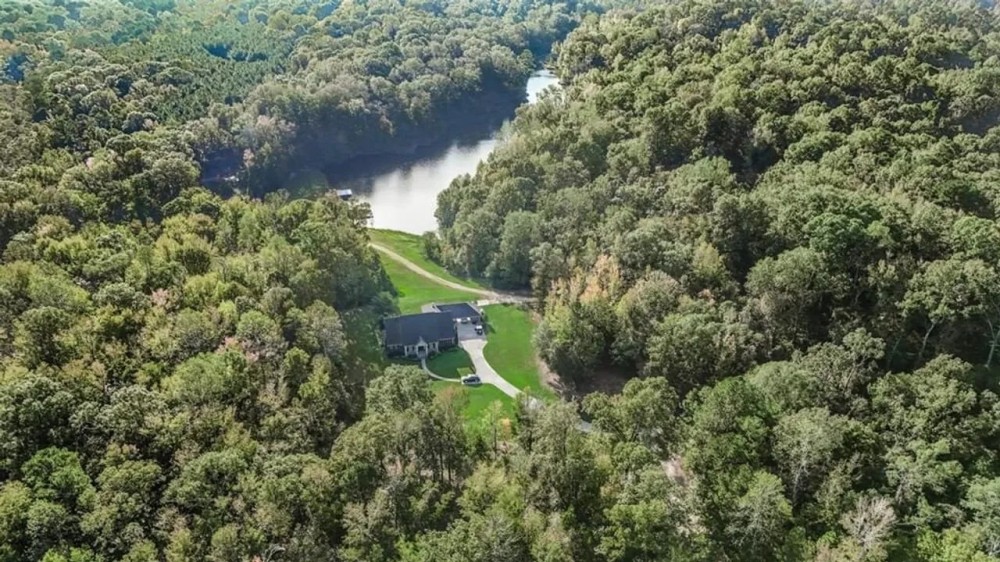 Legacy Property for Sale in Woodville MS featured image
