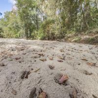 Legacy Property for Sale in Woodville MS images 2
