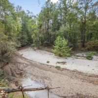 Legacy Property for Sale in Woodville MS images 4