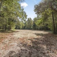 Legacy Property for Sale in Woodville MS images 5