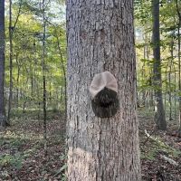 Great Hunting Tract in Bolton MS for Sale