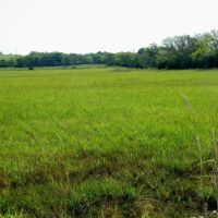 120 Acre Pasture and Hay w Hunting Pawnee County