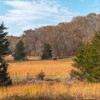 Vaughan Eldon MO images 2
