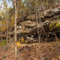 Vaughan Eldon MO images 4