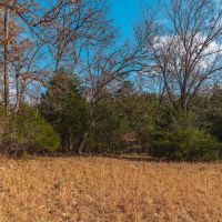 Vaughan Eldon MO images 5