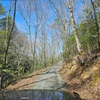 150 Acres - Sold in four Parcels images 4