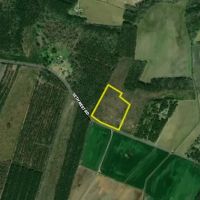 Unrestricted Land With Excellent Road Frontage And Utility Access images 3