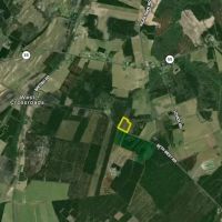Unrestricted Land With Excellent Road Frontage And Utility Access images 4