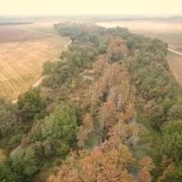 71 Acres in Sunflower County in Ruleville MS images 2